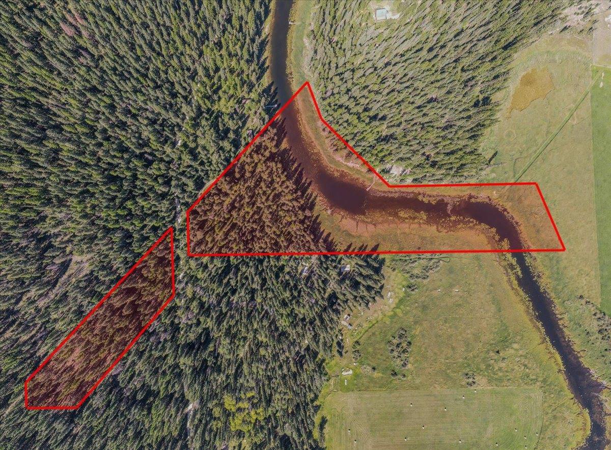 1455 Old Tally Lake Road, Whitefish, MT 59937