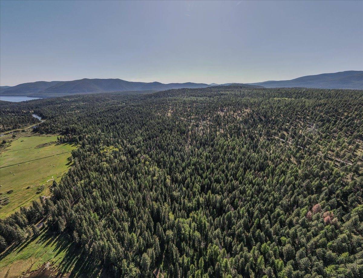 1455 Old Tally Lake Road, Whitefish, MT 59937