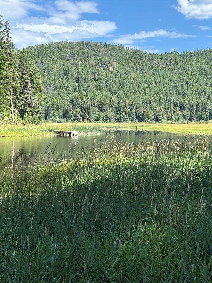 1455 Old Tally Lake Road, Whitefish, MT 59937