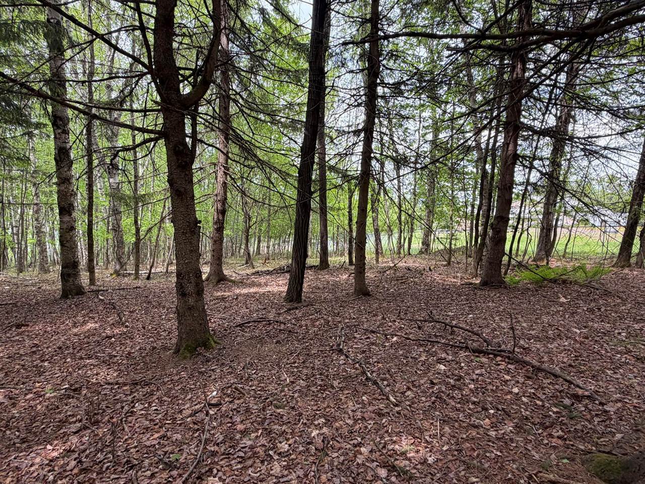 Lot I Agape Lane, Dexter, ME 04930