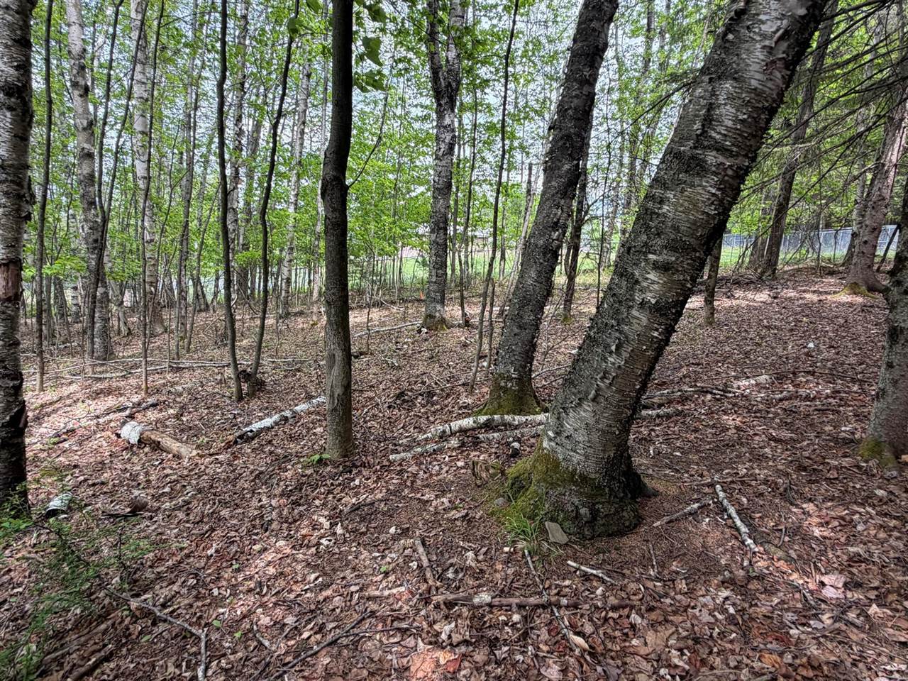 Lot I Agape Lane, Dexter, ME 04930