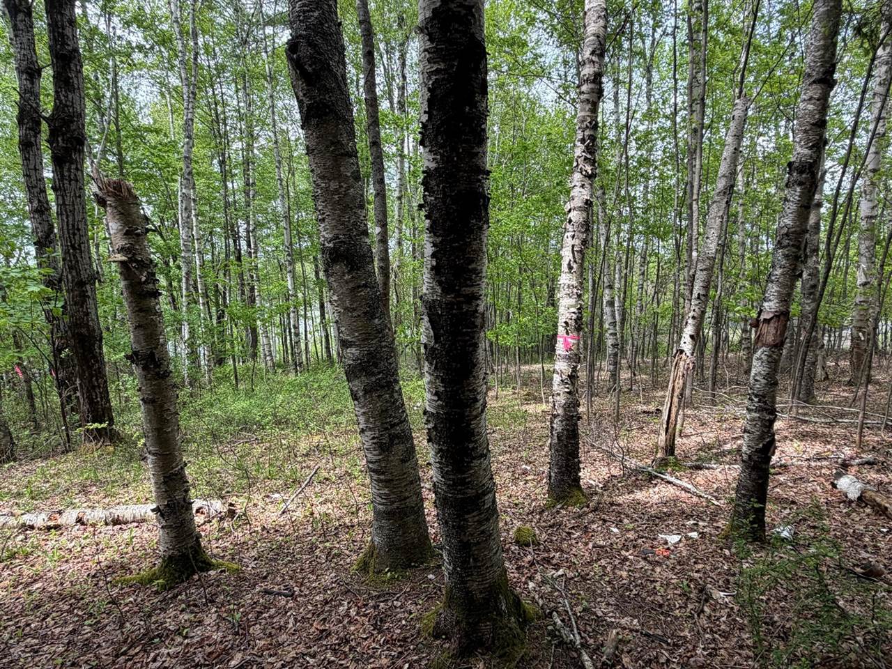 Lot I Agape Lane, Dexter, ME 04930