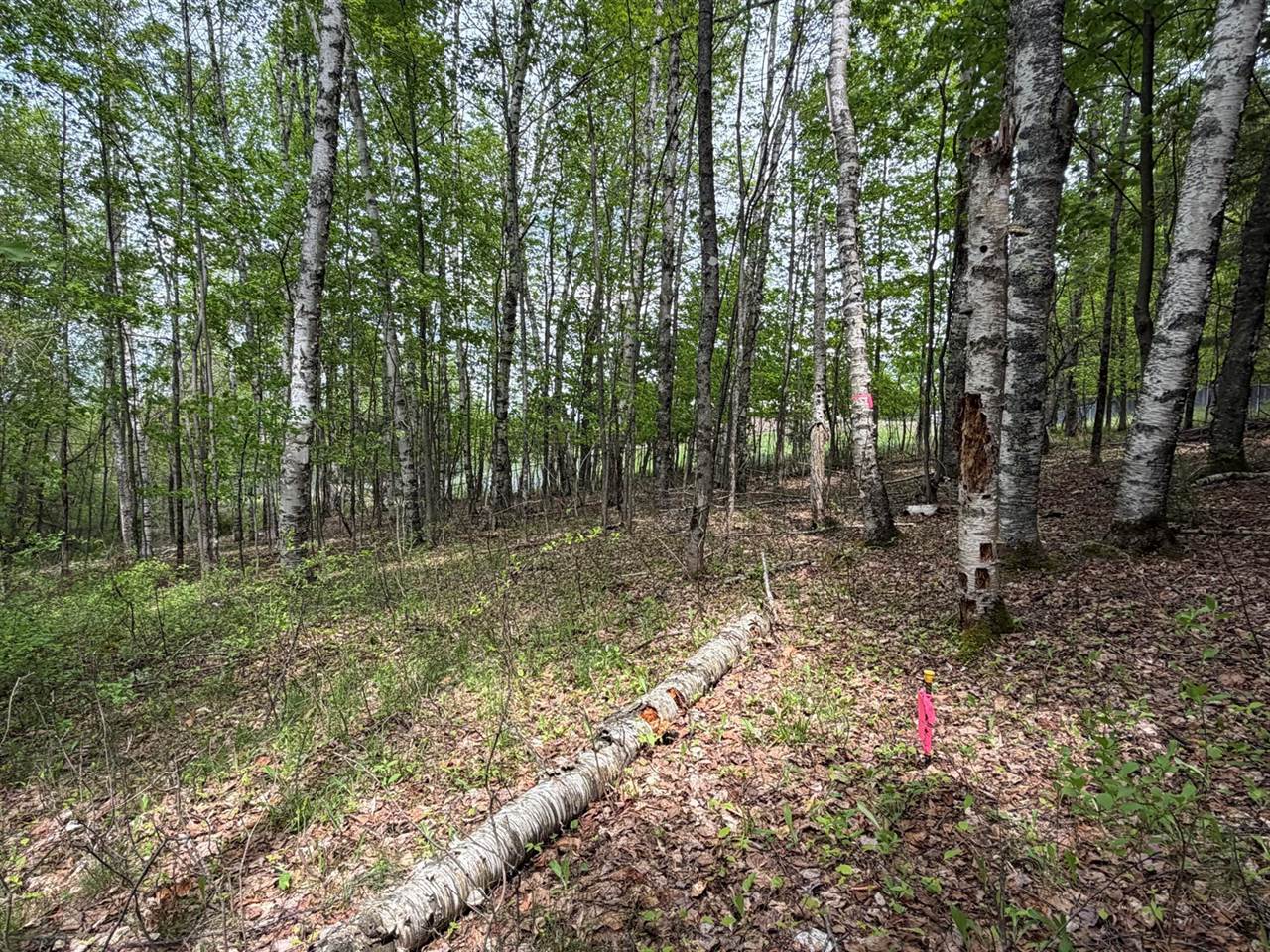 Lot I Agape Lane, Dexter, ME 04930