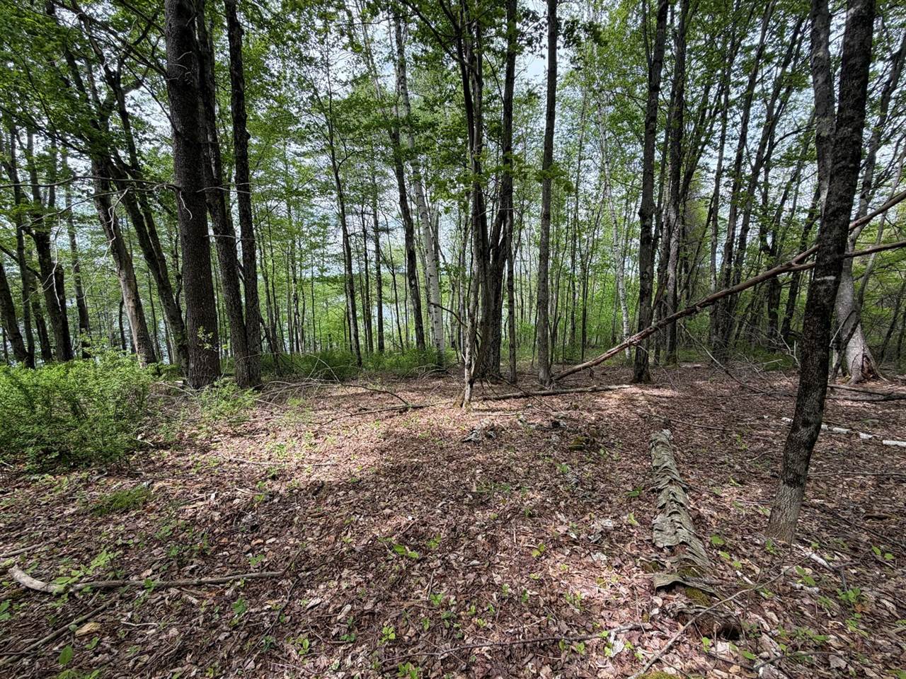 Lot I Agape Lane, Dexter, ME 04930