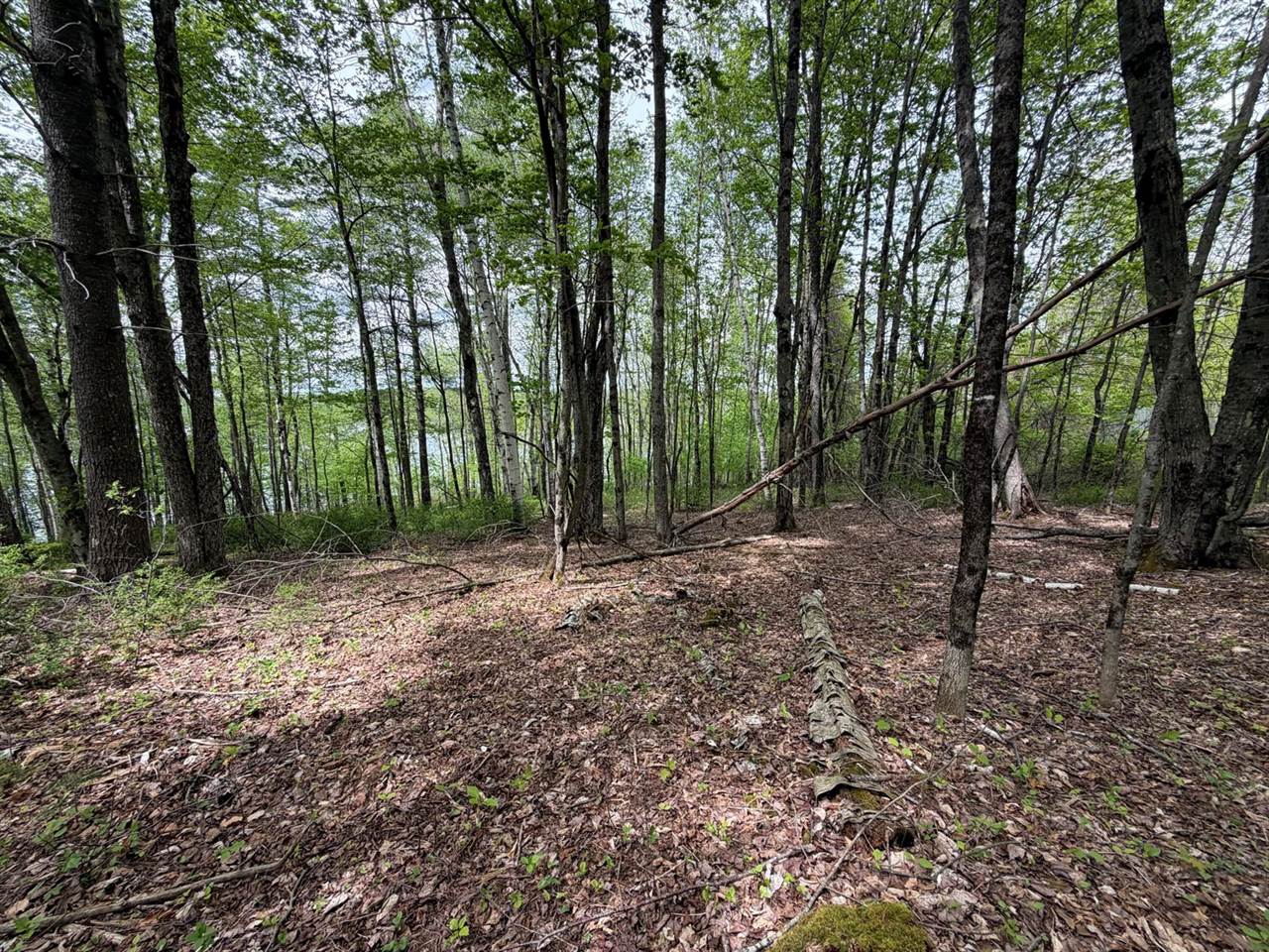 Lot I Agape Lane, Dexter, ME 04930