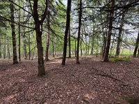 Lot I Agape Lane, Dexter, ME 04930
