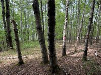 Lot I Agape Lane, Dexter, ME 04930