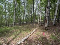 Lot I Agape Lane, Dexter, ME 04930
