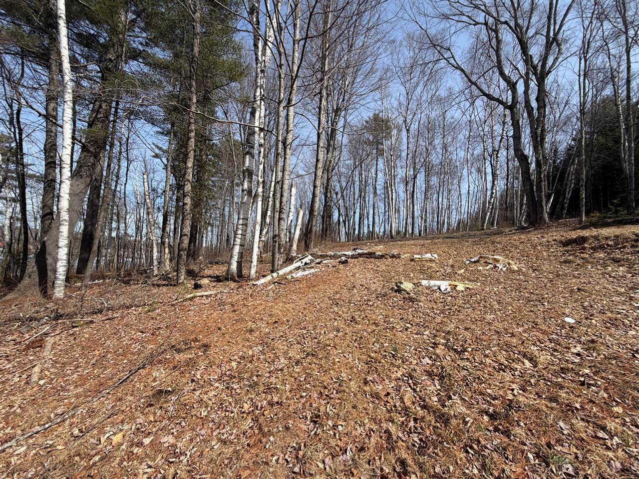 TBD Lot D Agape Lane, Dexter, ME 04930