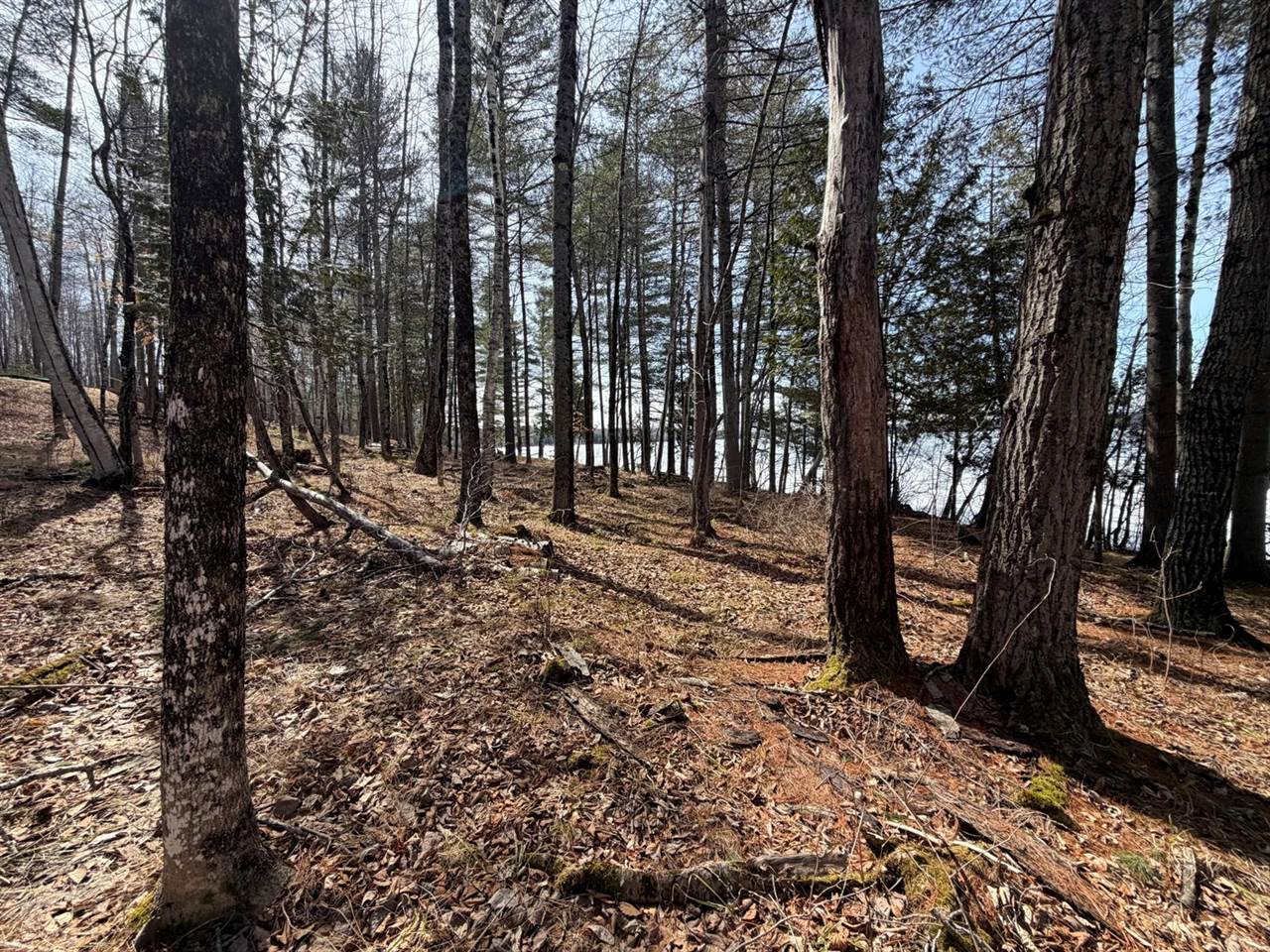TBD Lot D Agape Lane, Dexter, ME 04930