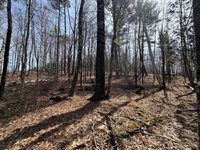 TBD Lot D Agape Lane, Dexter, ME 04930