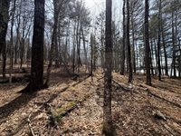 TBD Lot D Agape Lane, Dexter, ME 04930