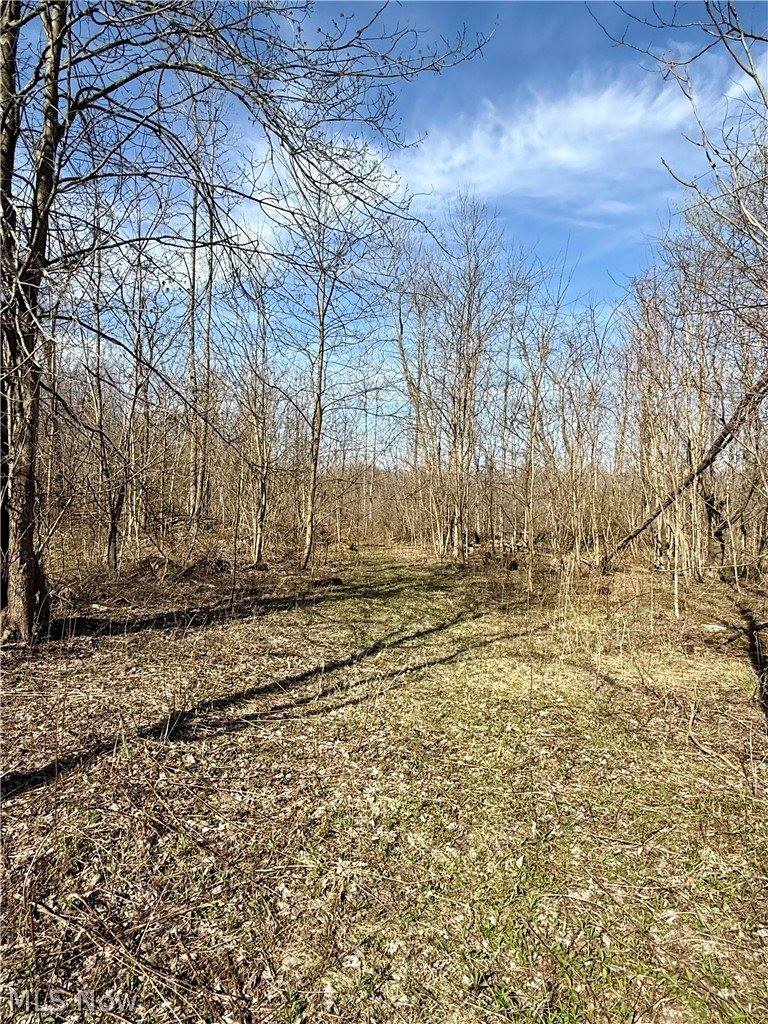 515 Middle Road, Conneaut, OH 44030