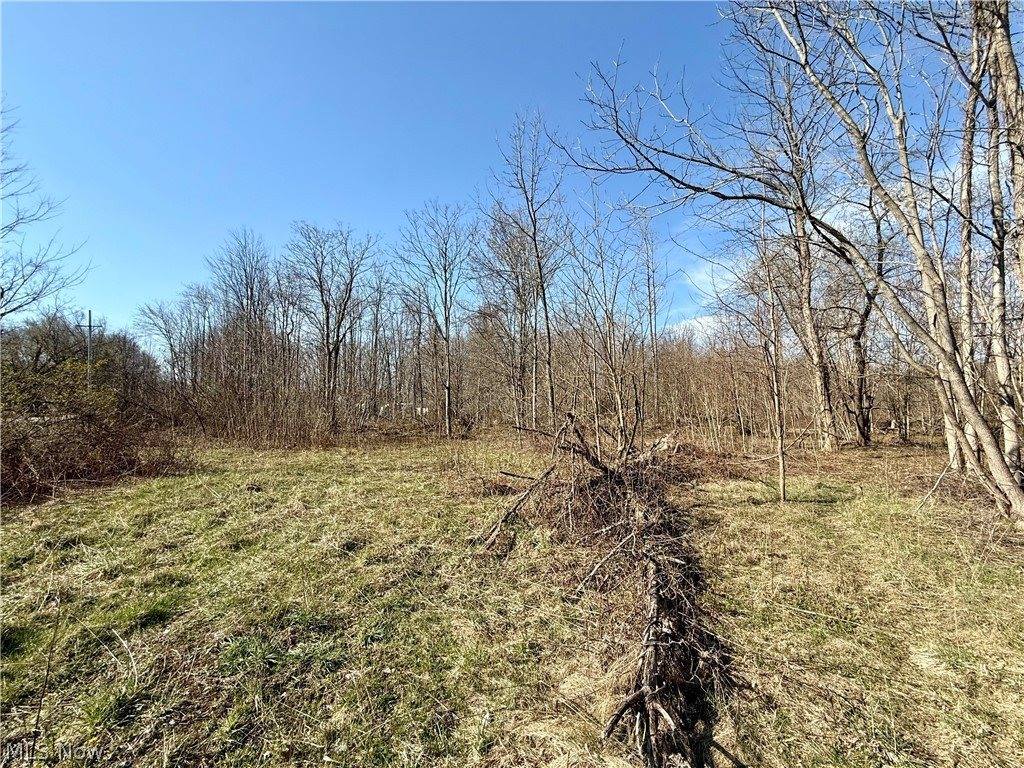 515 Middle Road, Conneaut, OH 44030