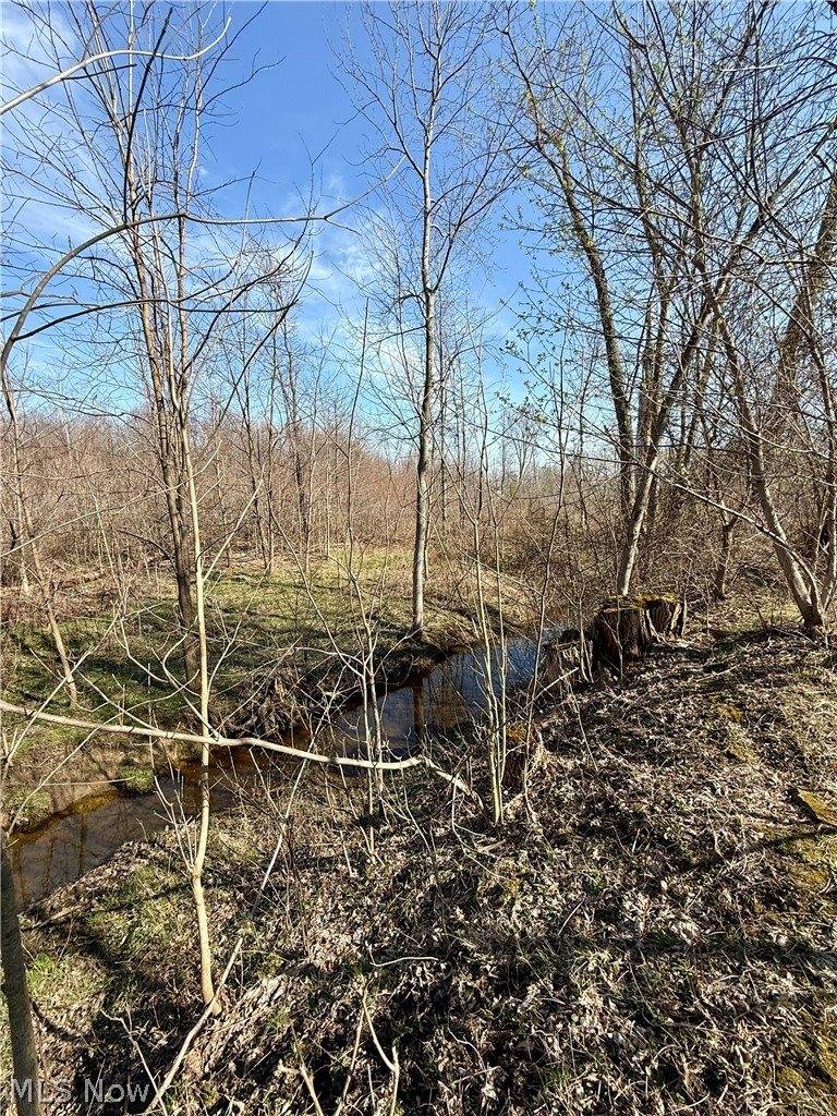 515 Middle Road, Conneaut, OH 44030
