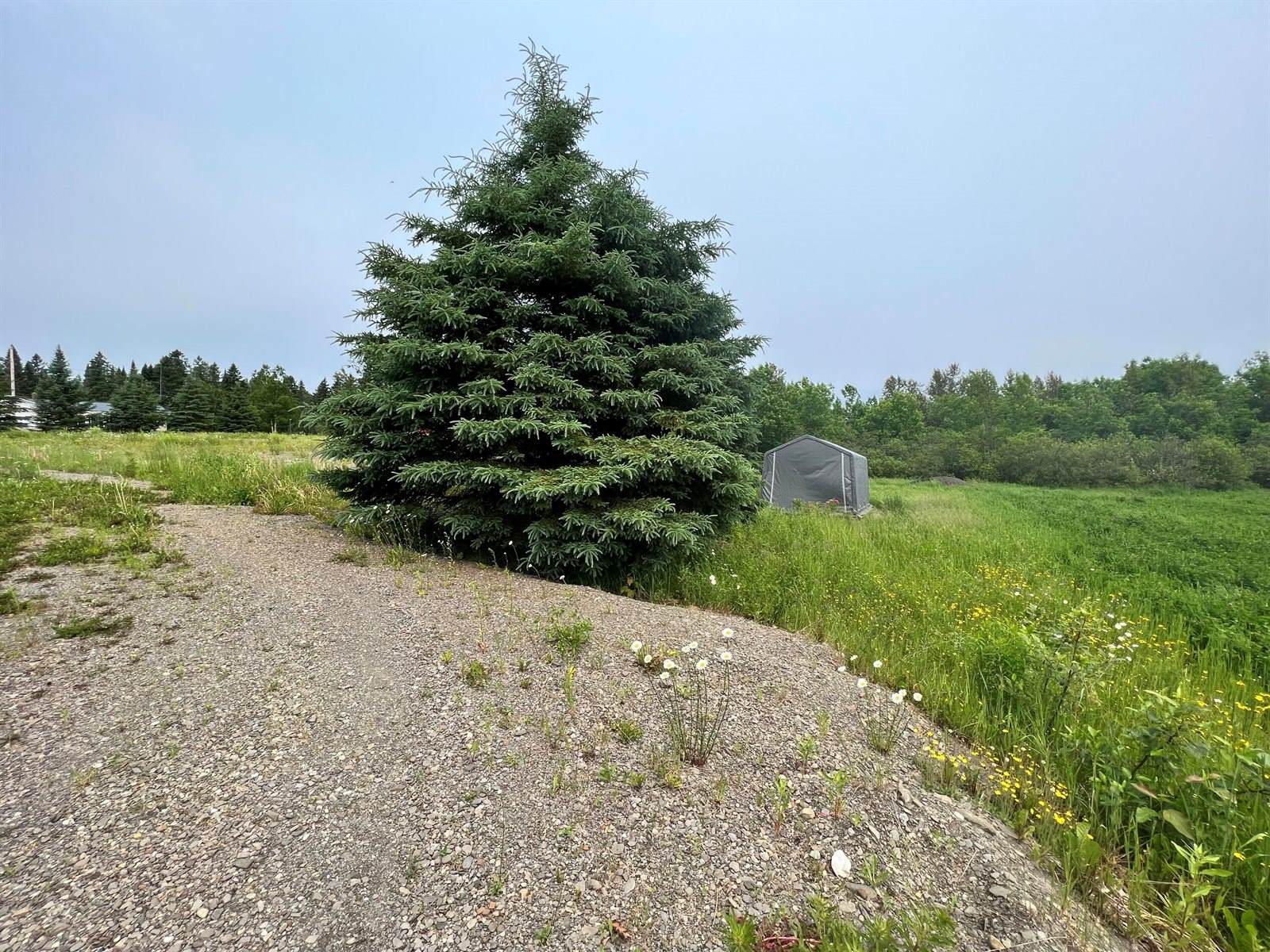 M6 L22J Paradis Avenue, Frenchville, ME 04745