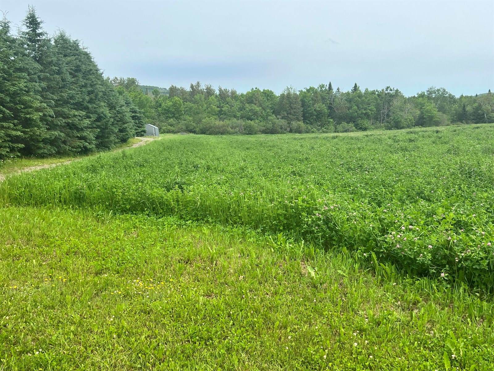 M6 L22J Paradis Avenue, Frenchville, ME 04745