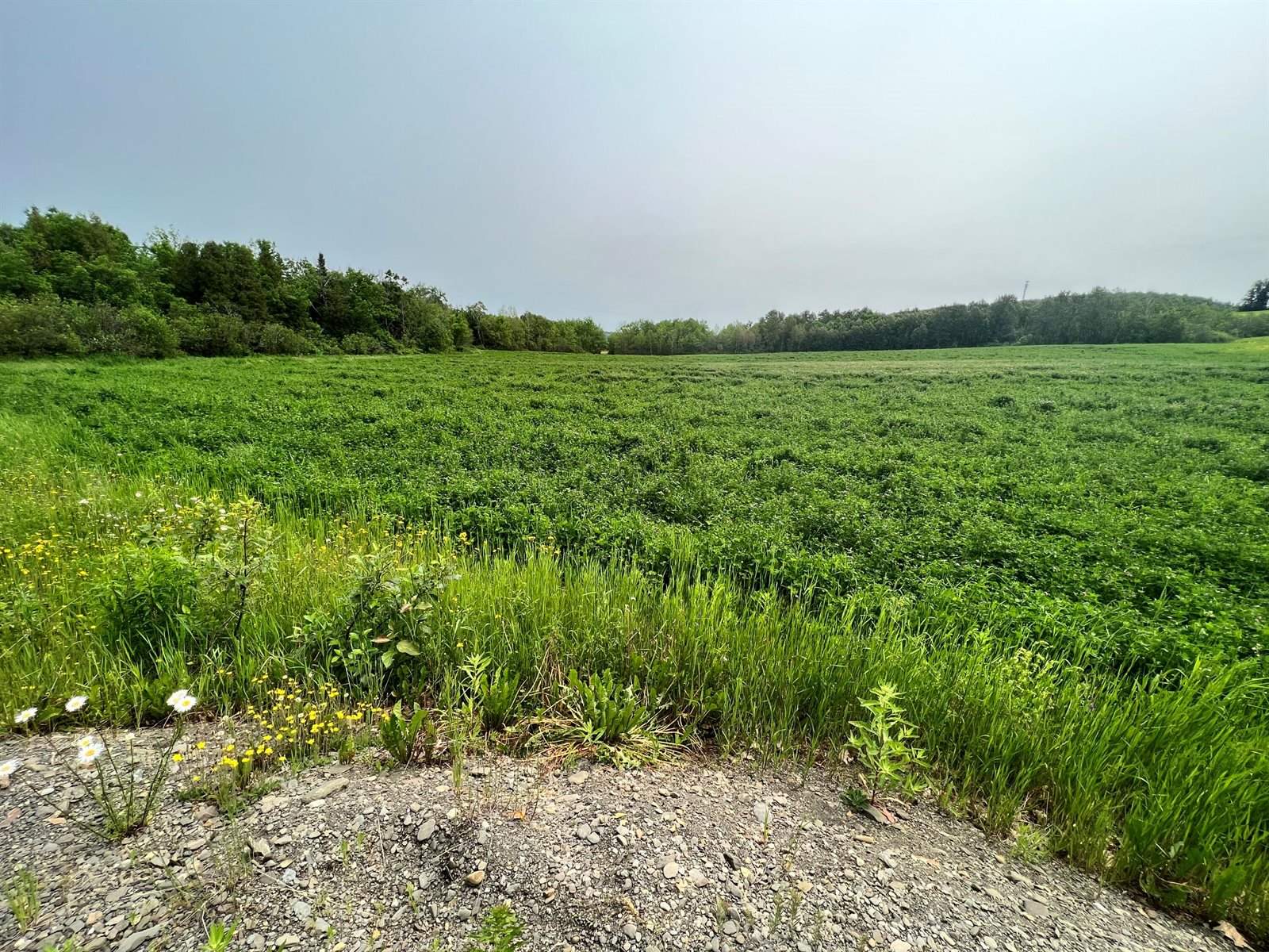 M6 L22J Paradis Avenue, Frenchville, ME 04745