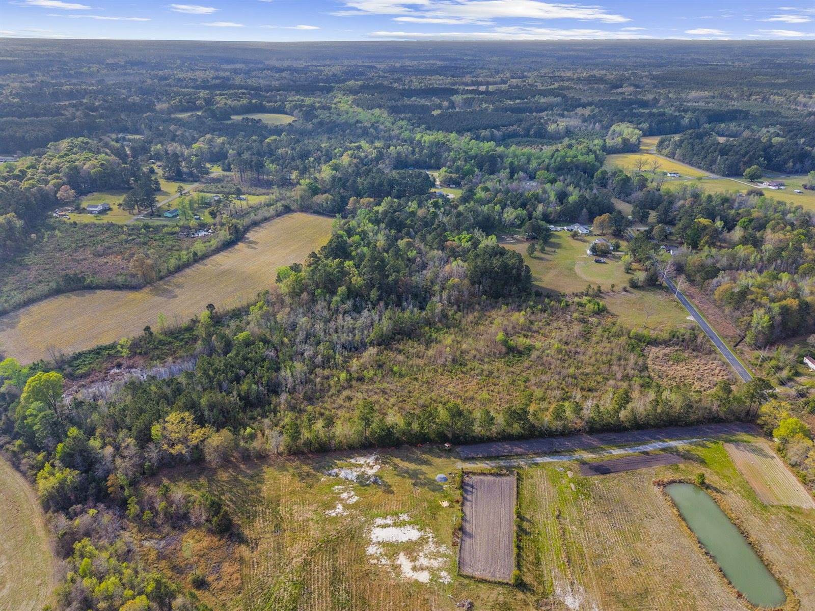 0 Mt Zion Road, Saint George, SC 29477