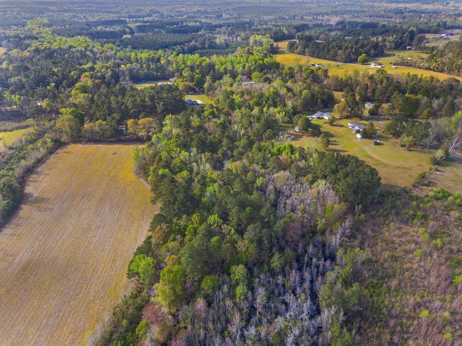 0 Mt Zion Road, Saint George, SC 29477