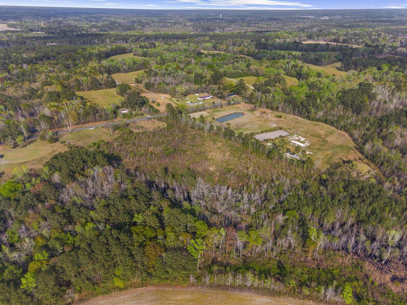 0 Mt Zion Road, Saint George, SC 29477
