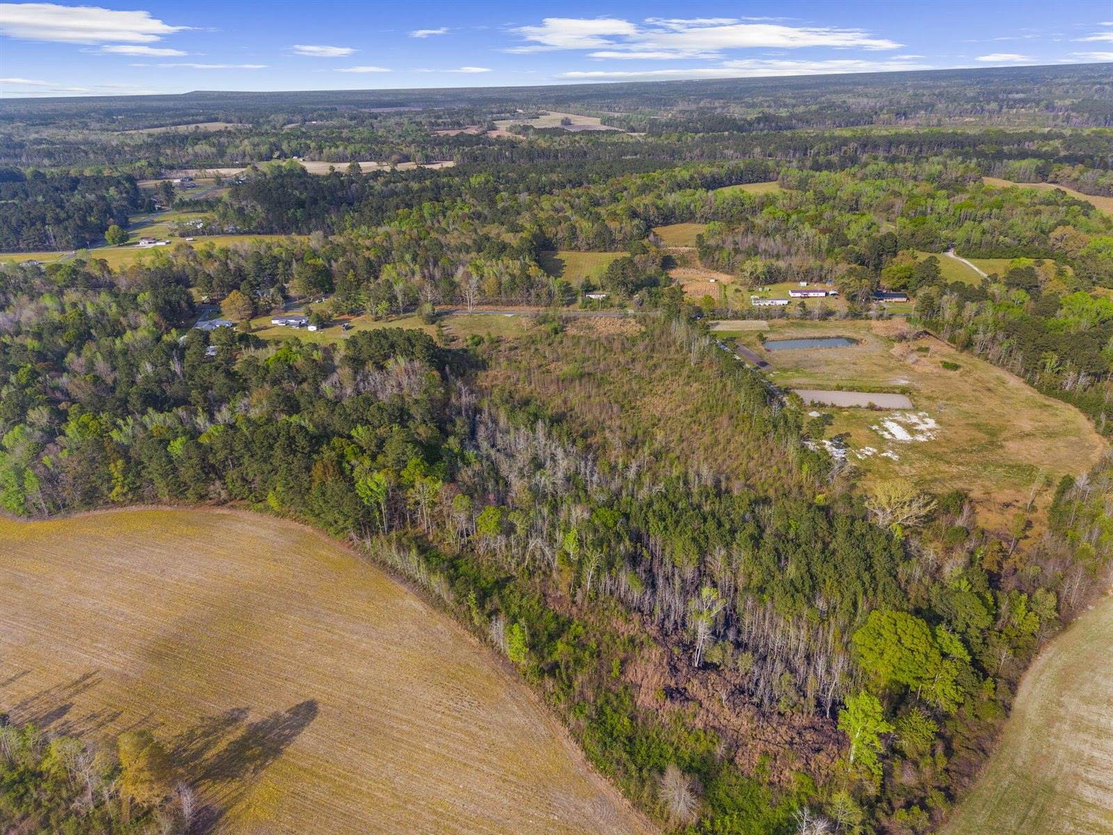 0 Mt Zion Road, Saint George, SC 29477