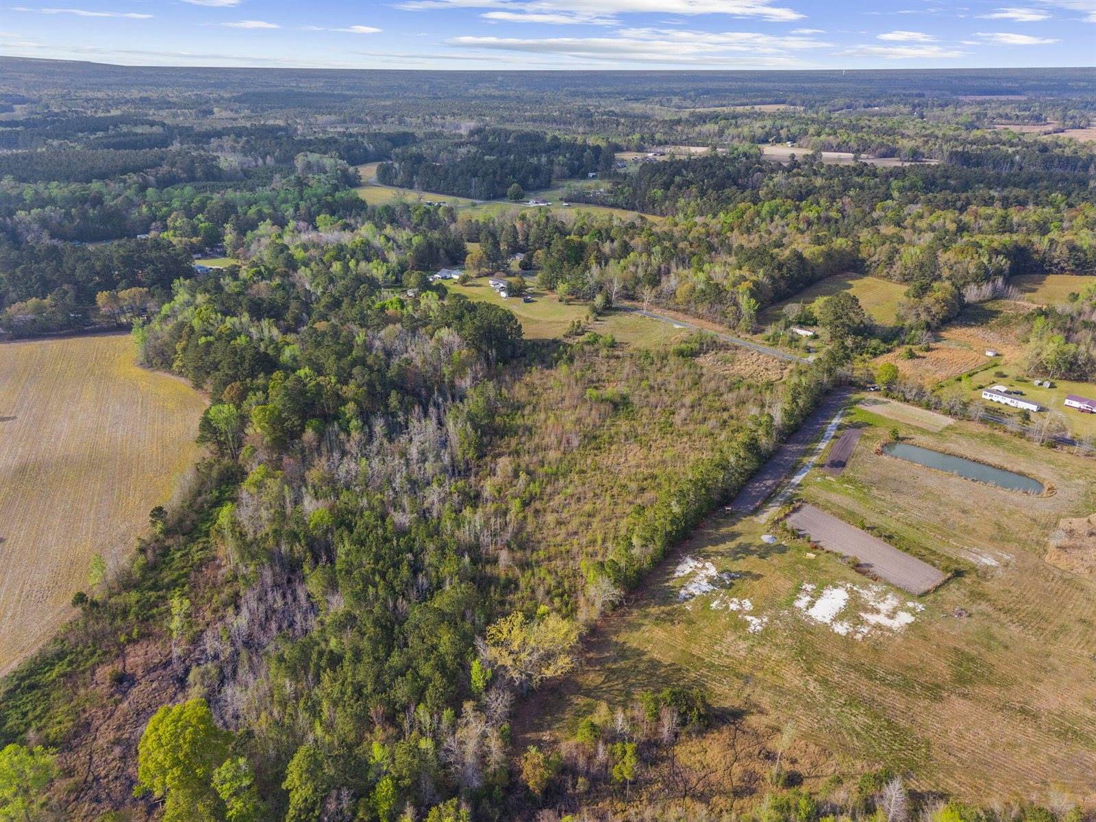 0 Mt Zion Road, Saint George, SC 29477