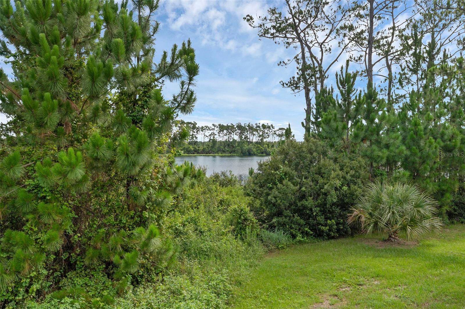 17860 Passionflower Circle, Clermont, FL 34714