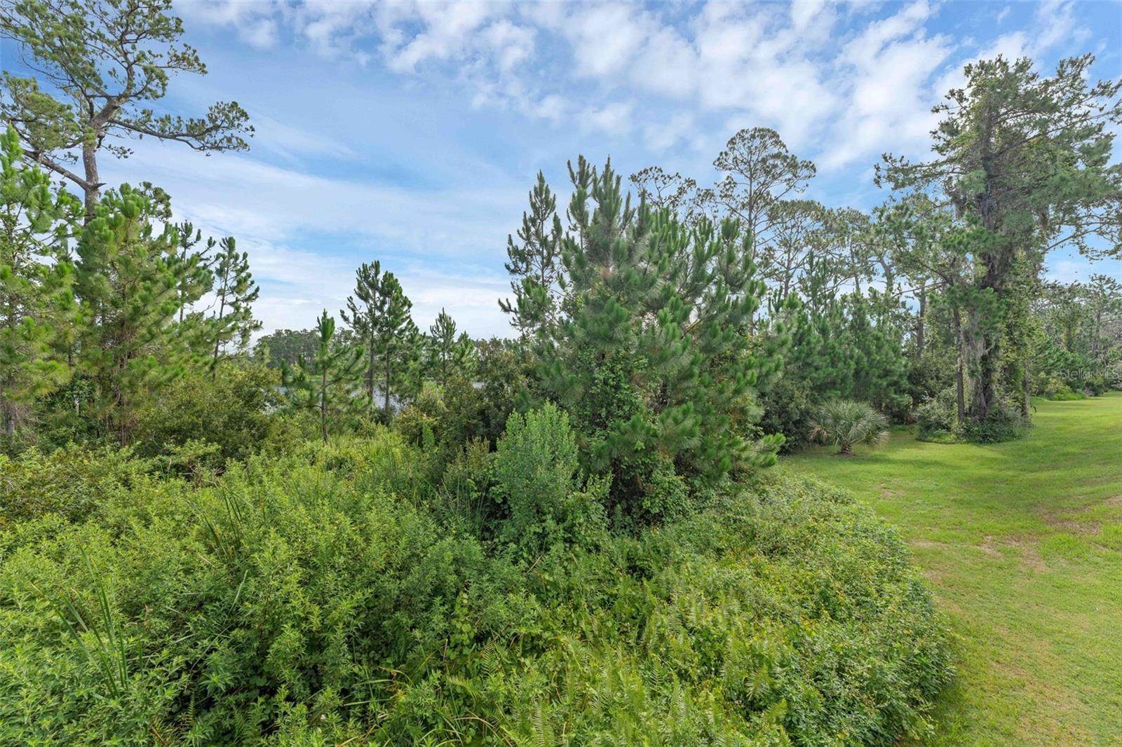 17860 Passionflower Circle, Clermont, FL 34714