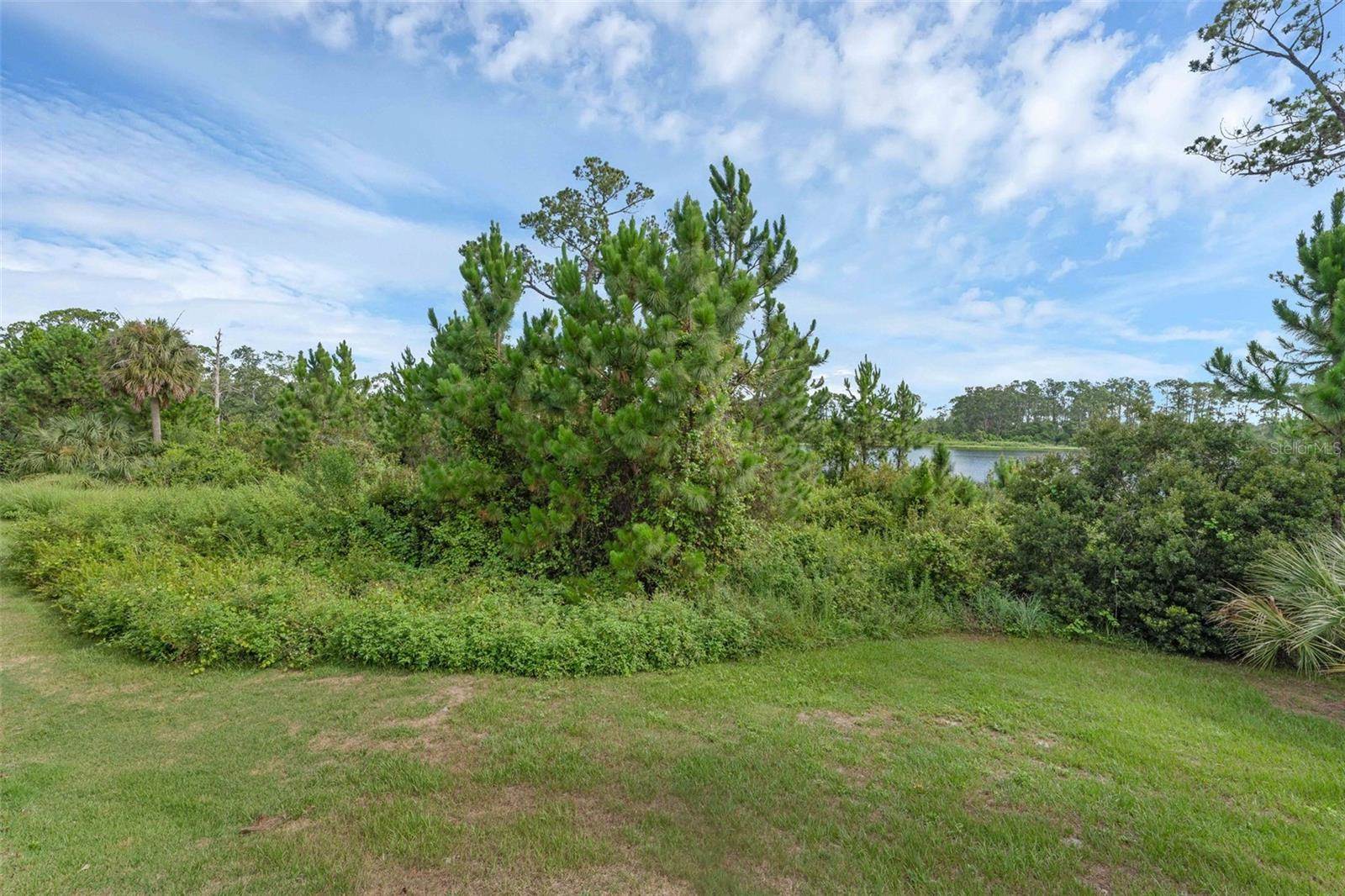 17860 Passionflower Circle, Clermont, FL 34714