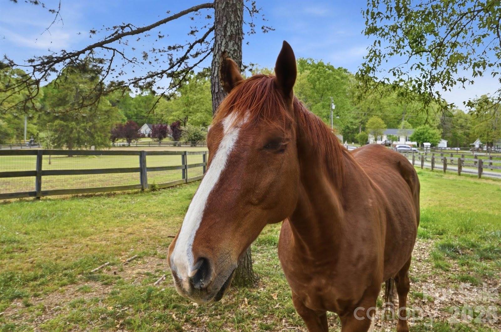 5508 Mcwhorter Road, Waxhaw, NC 28173