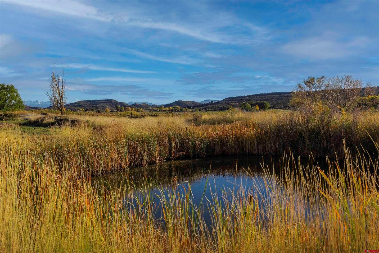 19555 6575 Road, Montrose, CO 81403