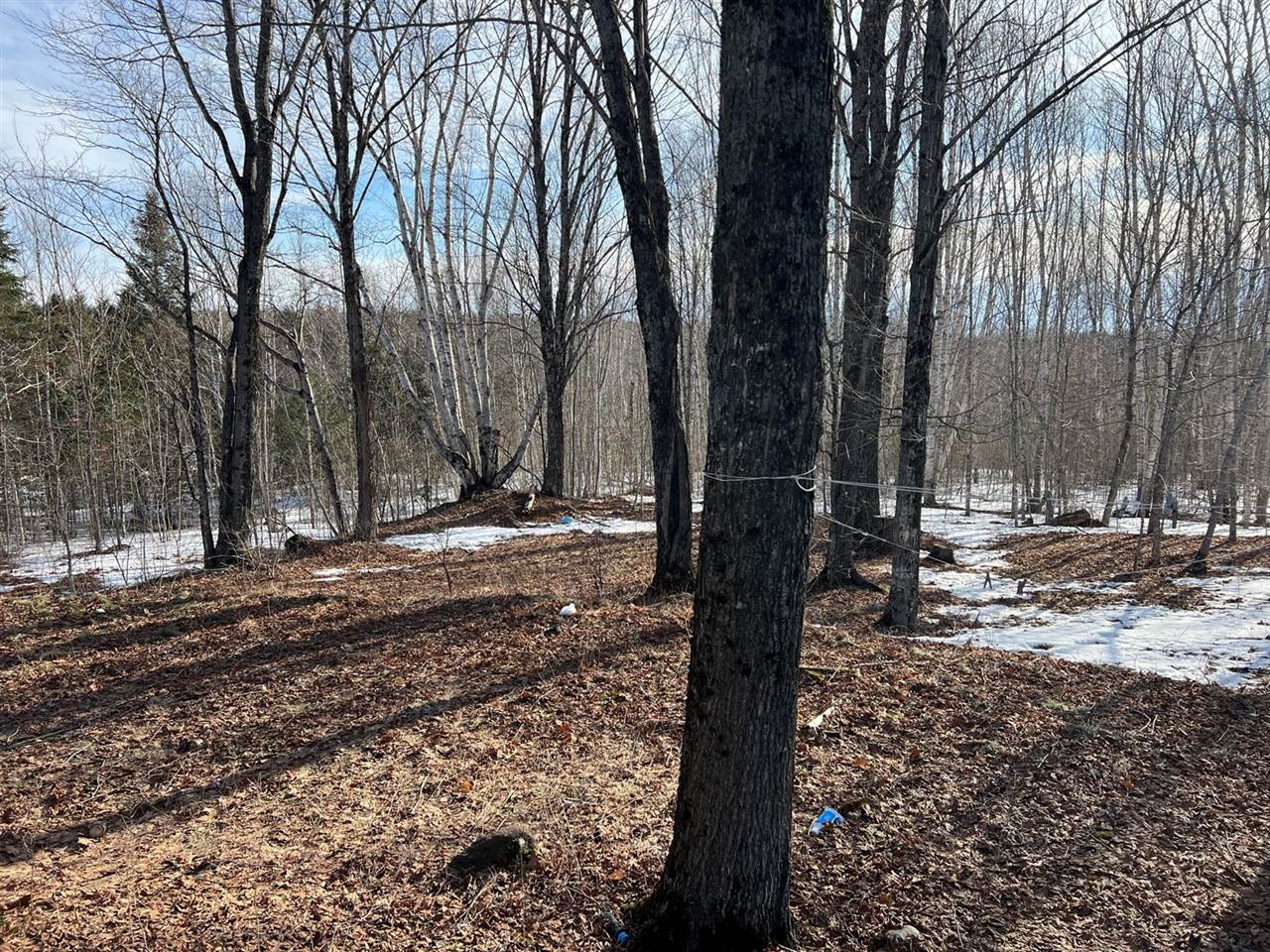 200 Clark Road, Patten, ME 04765