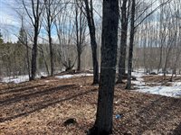 200 Clark Road, Patten, ME 04765