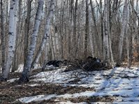 200 Clark Road, Patten, ME 04765