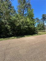 Esterbrook Acres Drive, Ponchatoula, LA 70454