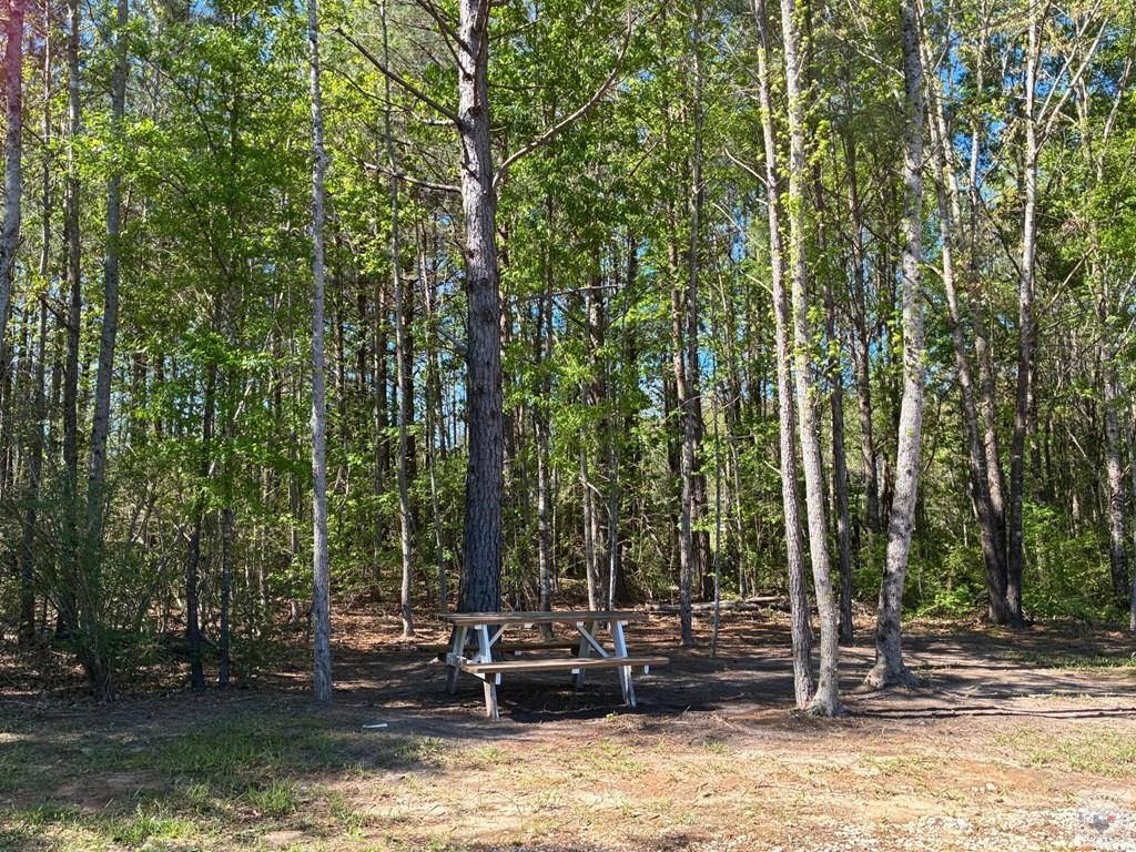 6502 East St, Texarkana, AR 71854