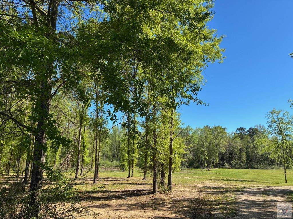 6502 East St, Texarkana, AR 71854