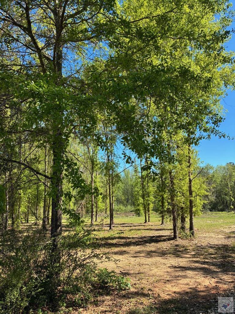 6502 East St, Texarkana, AR 71854