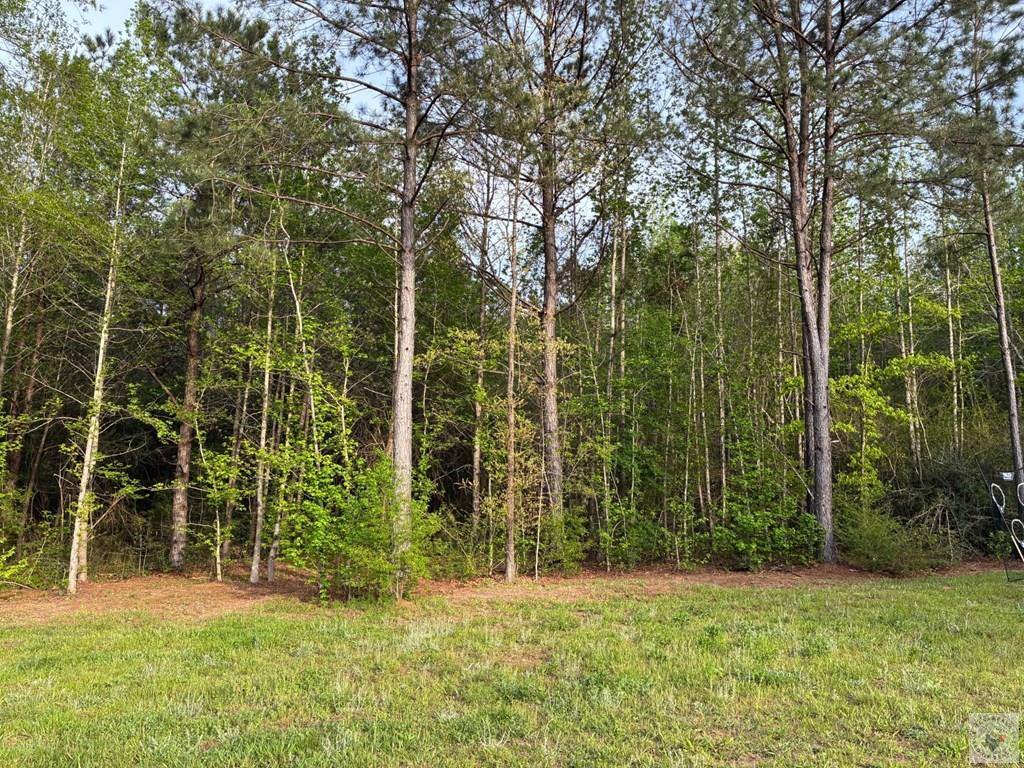 6502 East St, Texarkana, AR 71854