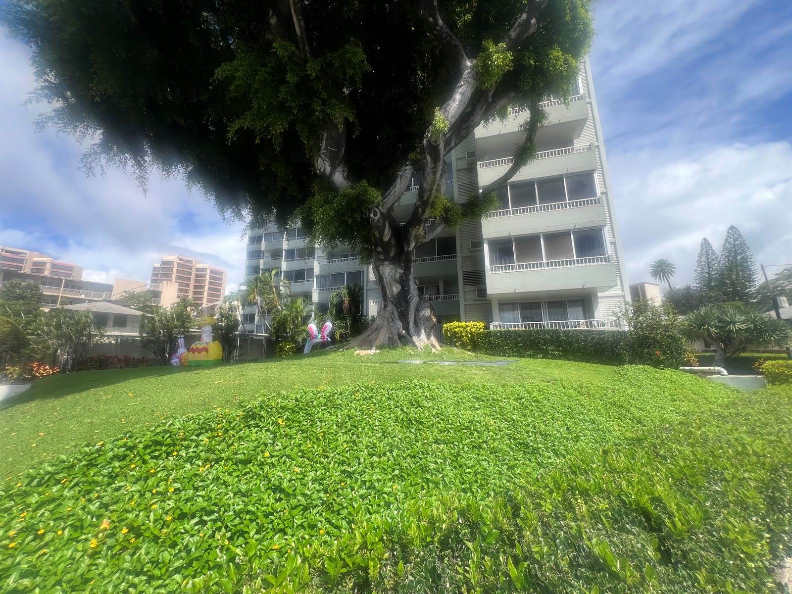1400 Pensacola St, #1104, Honolulu, HI 96822