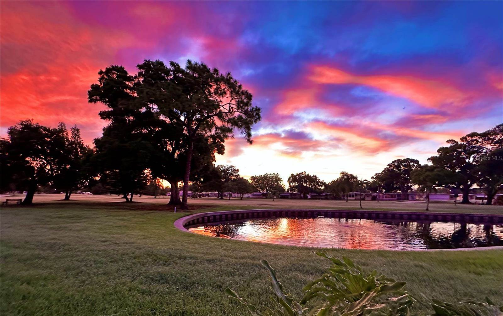 1100 Belcher Road South, #498, Largo, FL 33771