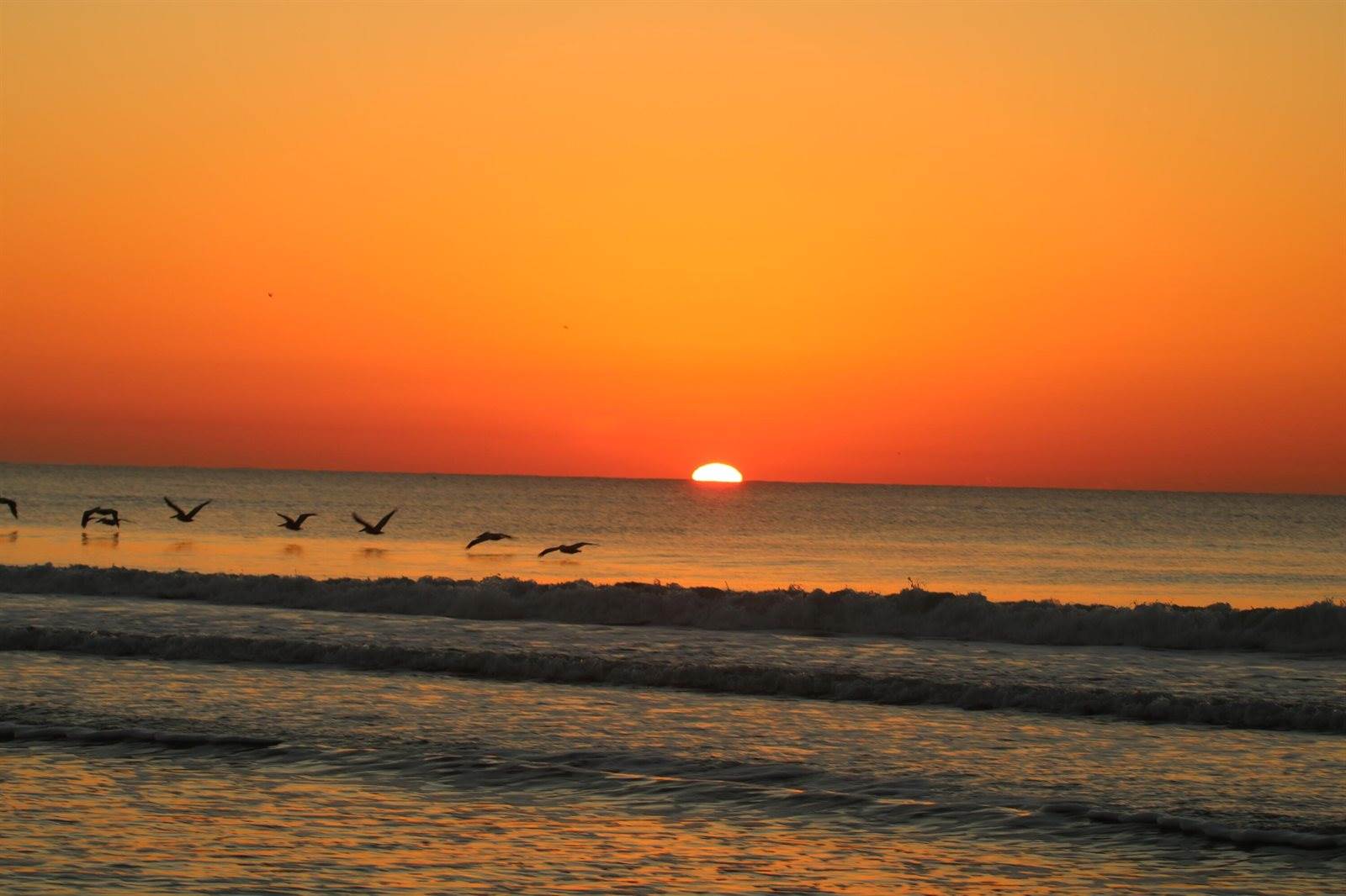 597 Oyster Rake Drive, Kiawah Island, SC 29455