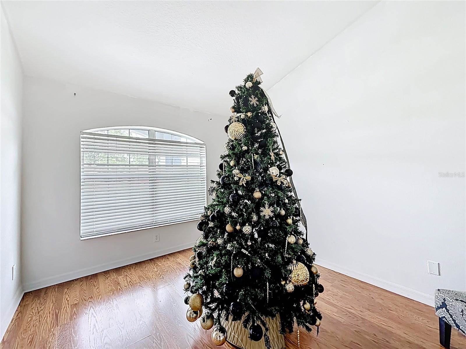 4319 NW 4TH Circle, Ocala, FL 34475