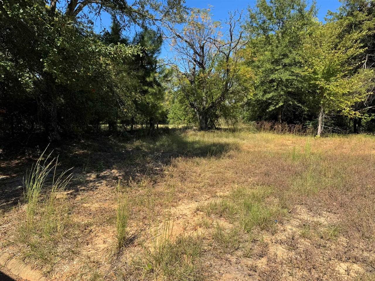 1119 Chappell, Longview, TX 75602