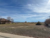 Lot 113-B-1A Stone Bridge Drive, Montrose, CO 81401