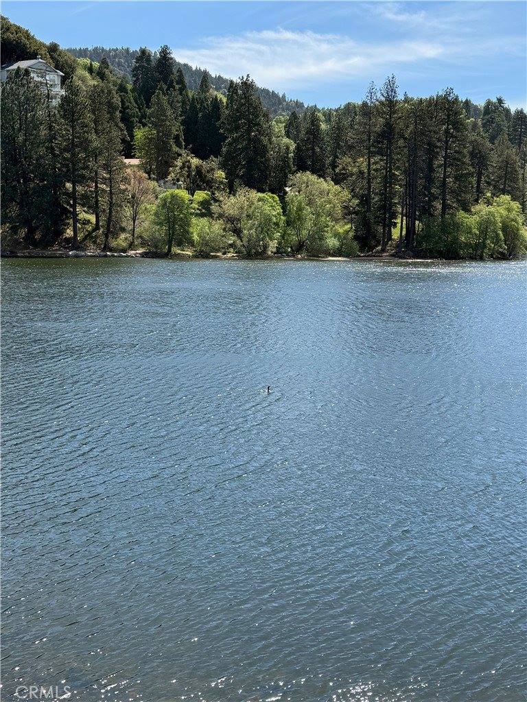 785 County (AROSA) Drive, Crestline, CA 92325