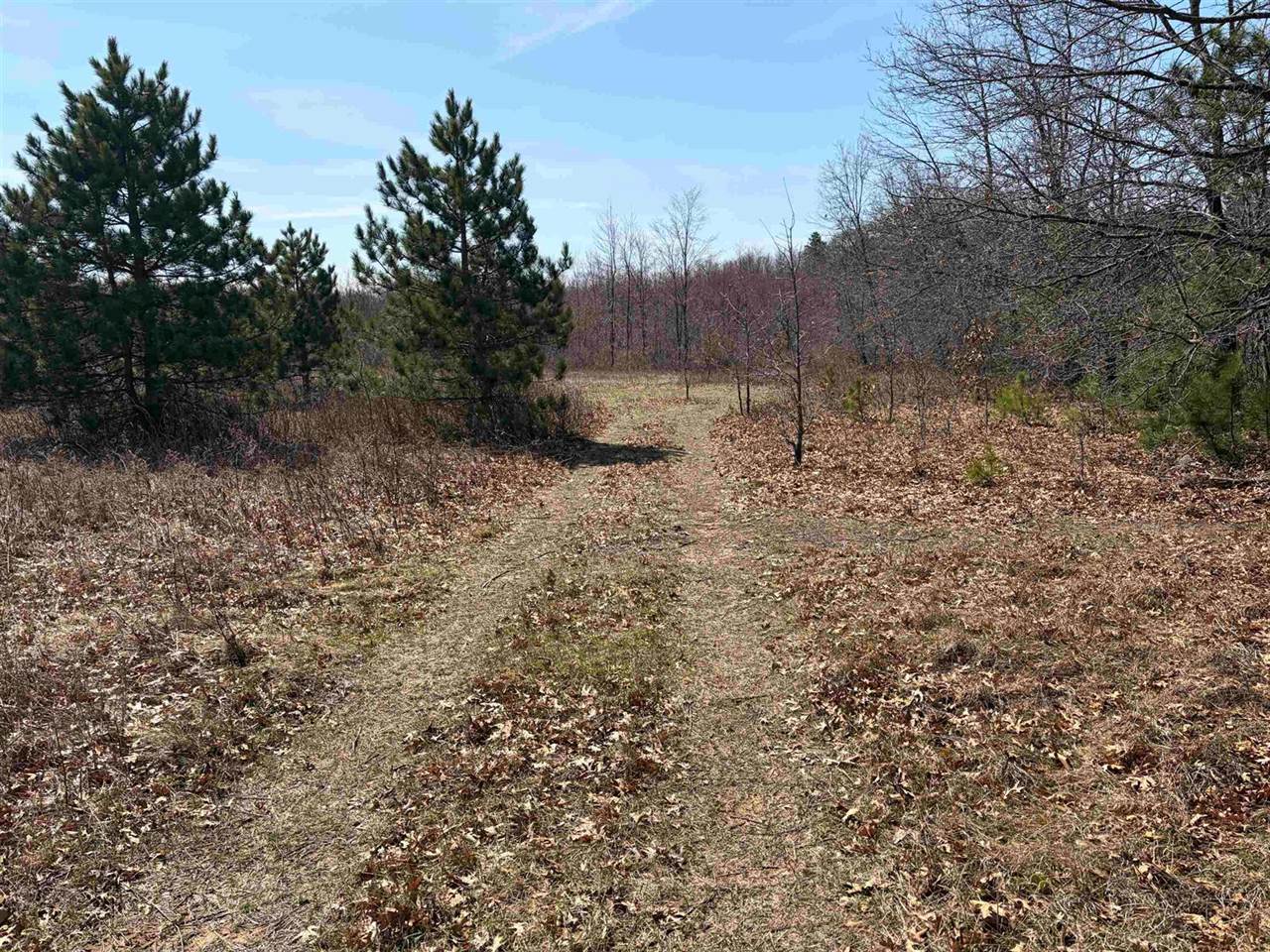 40 acres Town Hall, Dellona, WI 53944