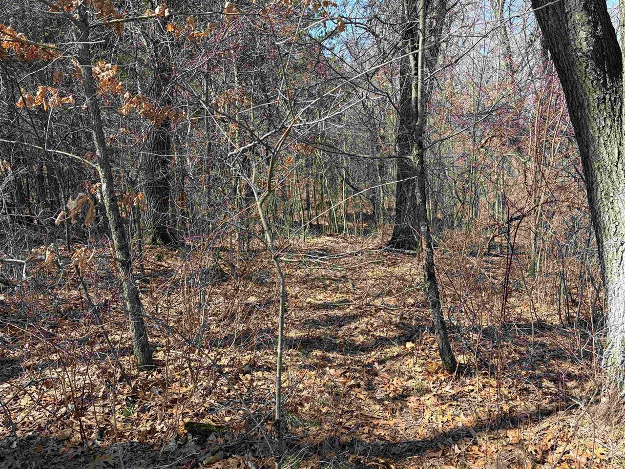 40 acres Town Hall, Dellona, WI 53944