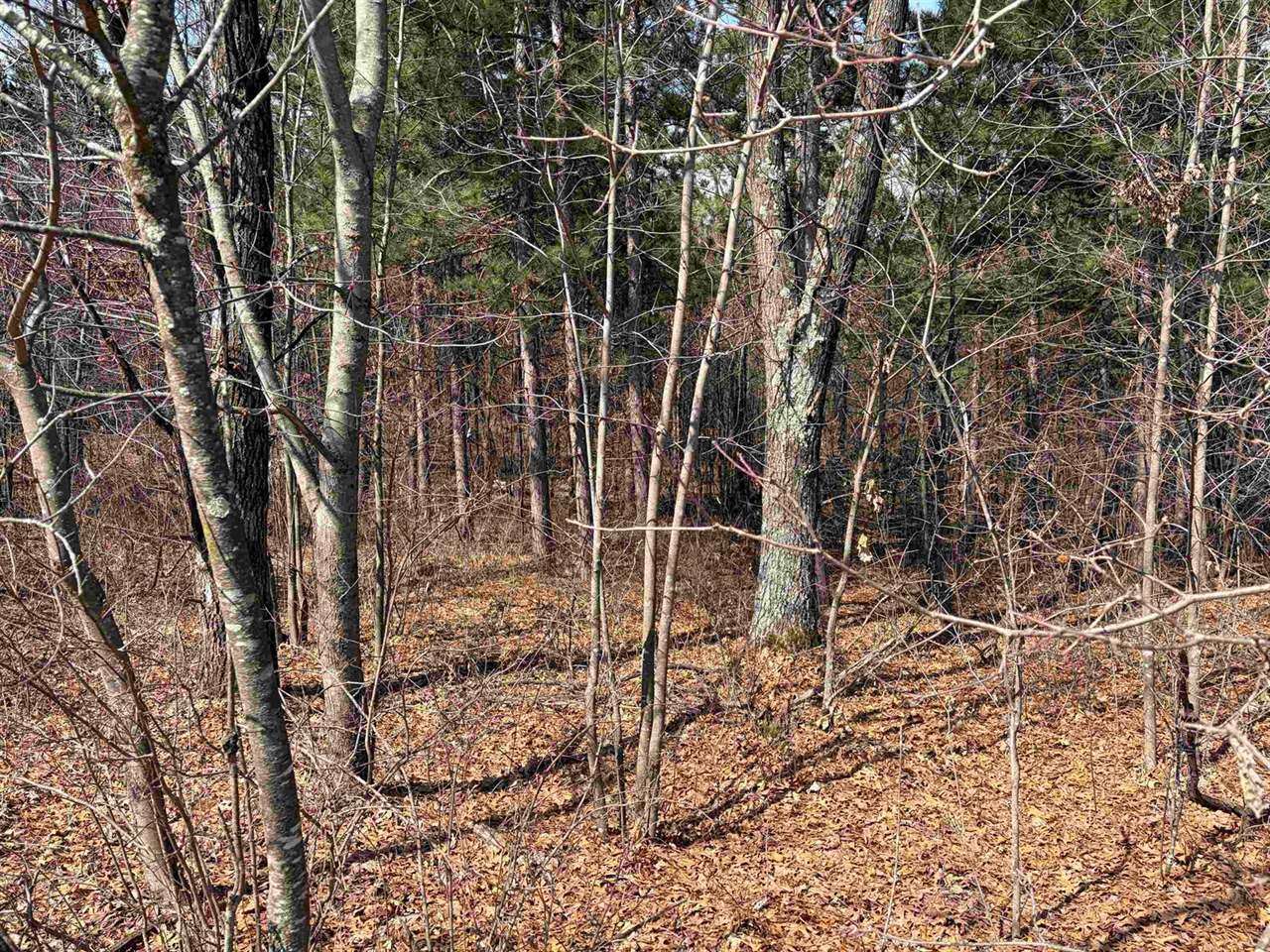 40 acres Town Hall, Dellona, WI 53944